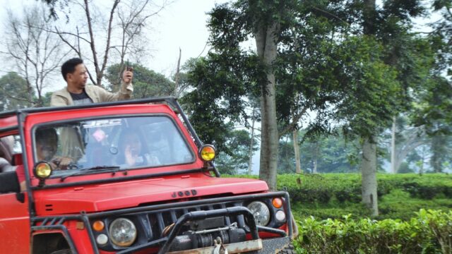 Family Off-road